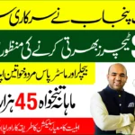 School Teaching Interns (STI) Jobs 2025 Program